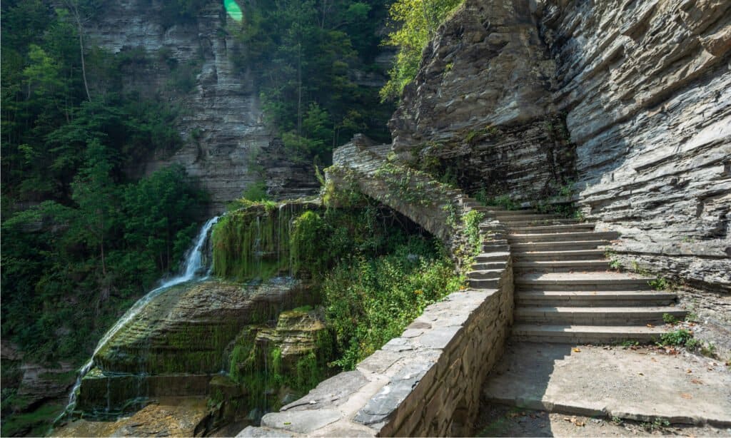 Parco statale Robert H. Treman