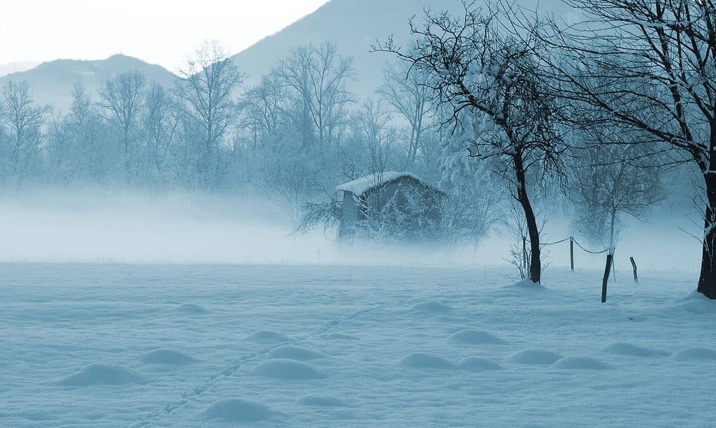 nebbia e neve
