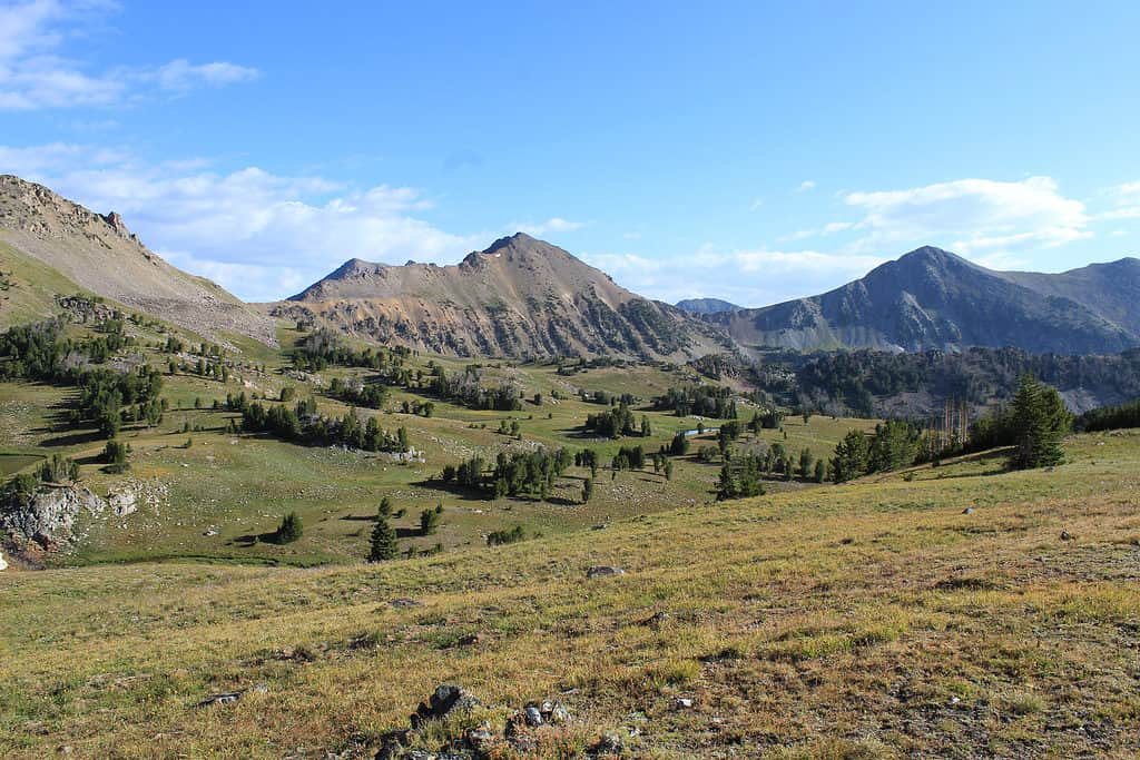 Foresta nazionale di Beaverhead-Deerlodge