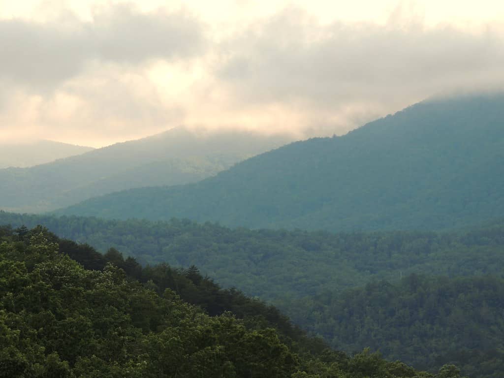 Foresta Nazionale Cherokee