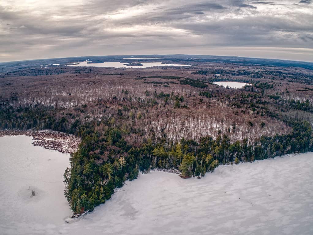Foresta nazionale di Chequamegon-Nicolet