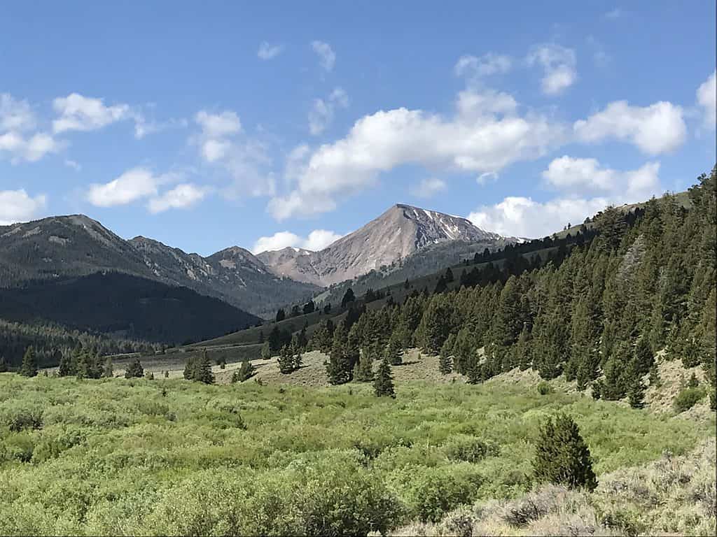 La più grande foresta dell'Idaho è la Salmon-Challis National Forest