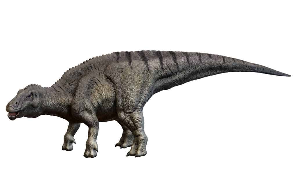 Shantungosauro
