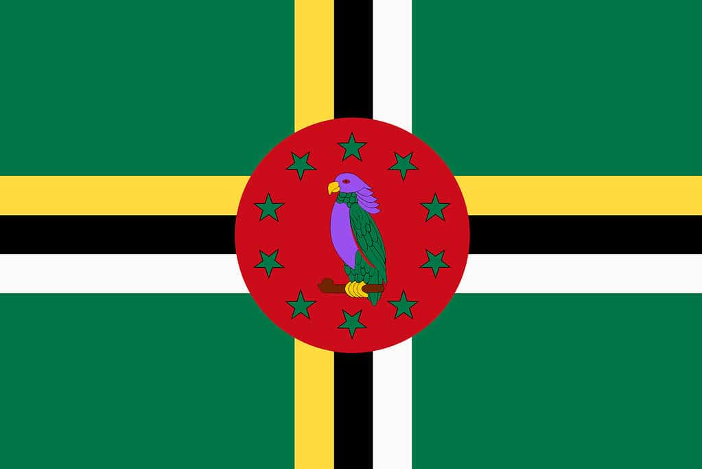 Bandiera Dominica sfondo illustrazione verde giallo nero rosso sisserou pappagallo