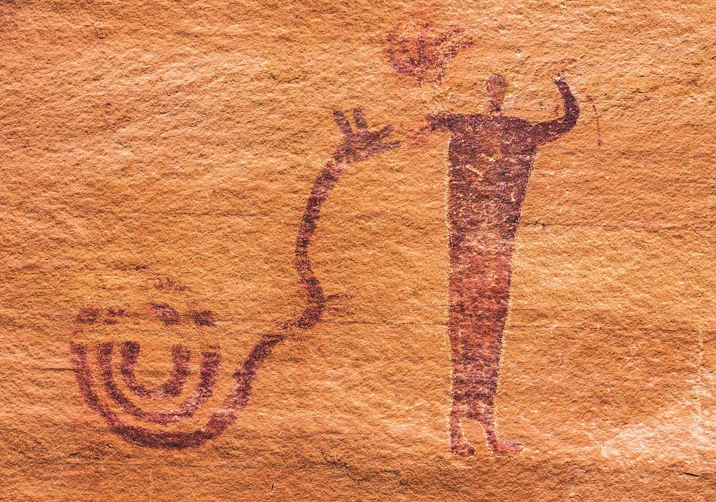 Serpente cornuto