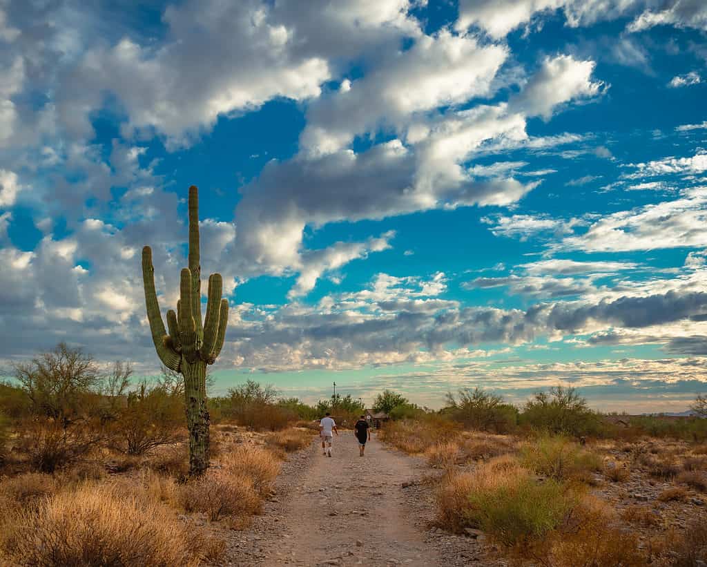 Riserva di Scottsdale McDowell Sonoran