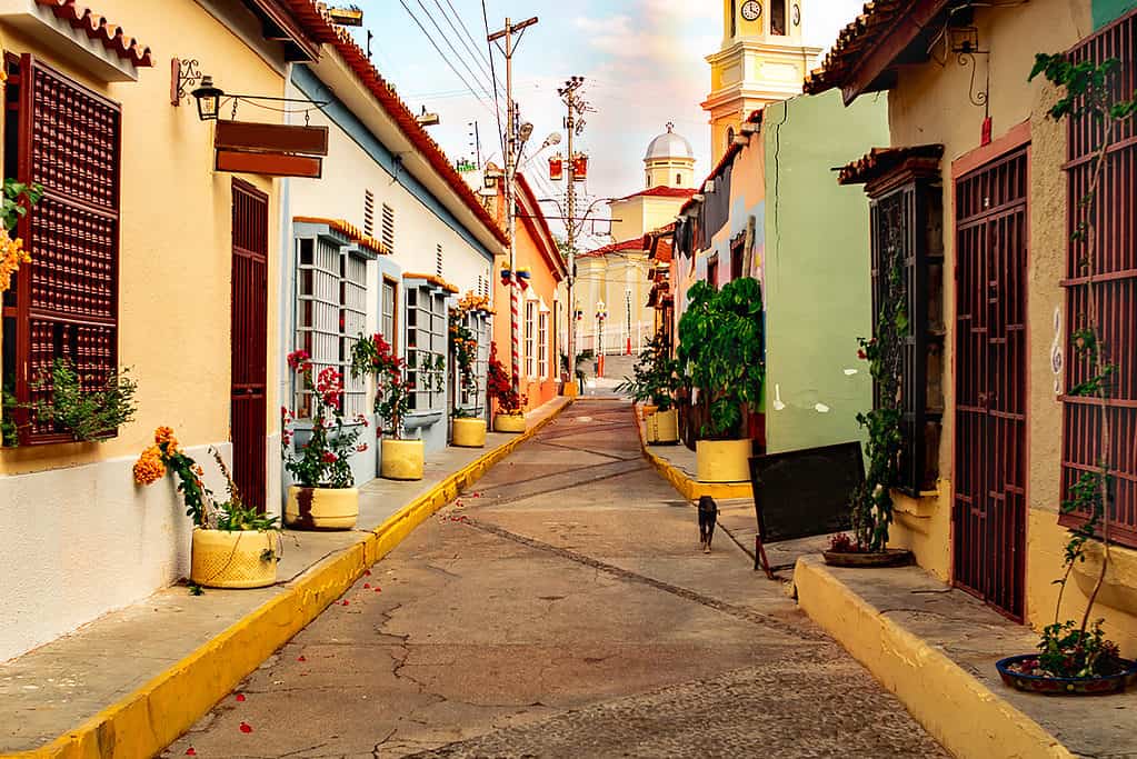 Strade venezuelane