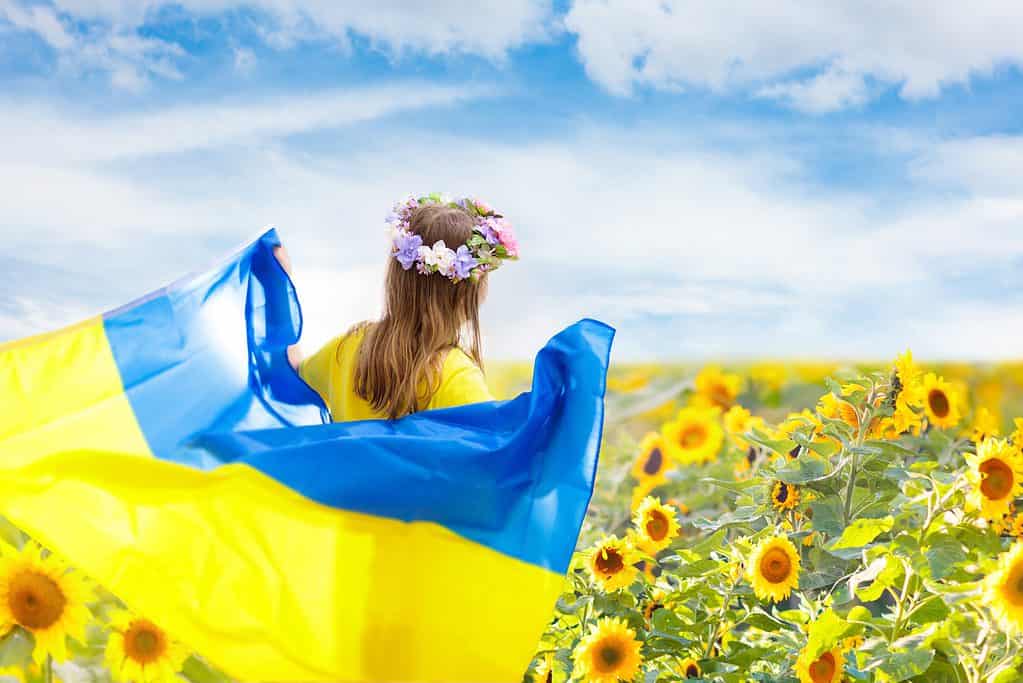 Ucraina Girasoli