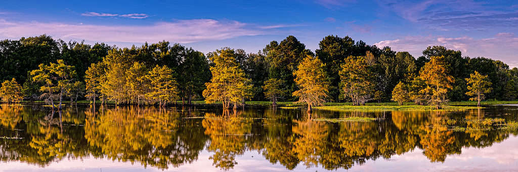 Martin muore Junior State Park East Texas Pineywoods
