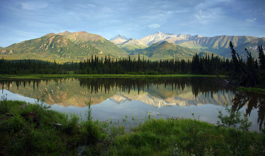 Primavera in Alaska