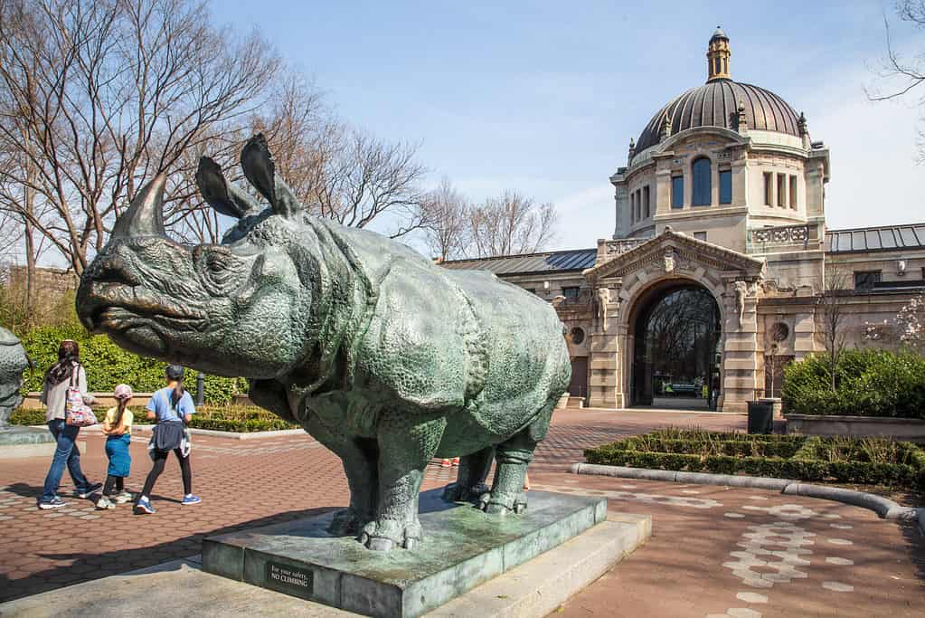 Lo zoo del Bronx è un'oasi faunistica nel mezzo della città più grande d'America.