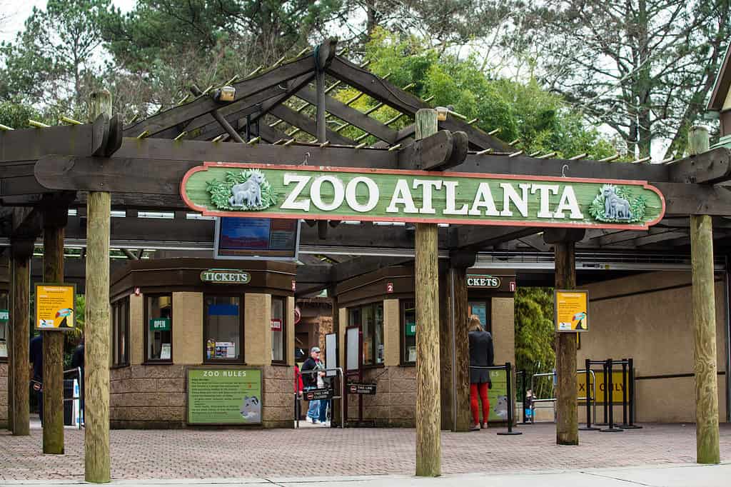 Entrata dello zoo di Atlanta