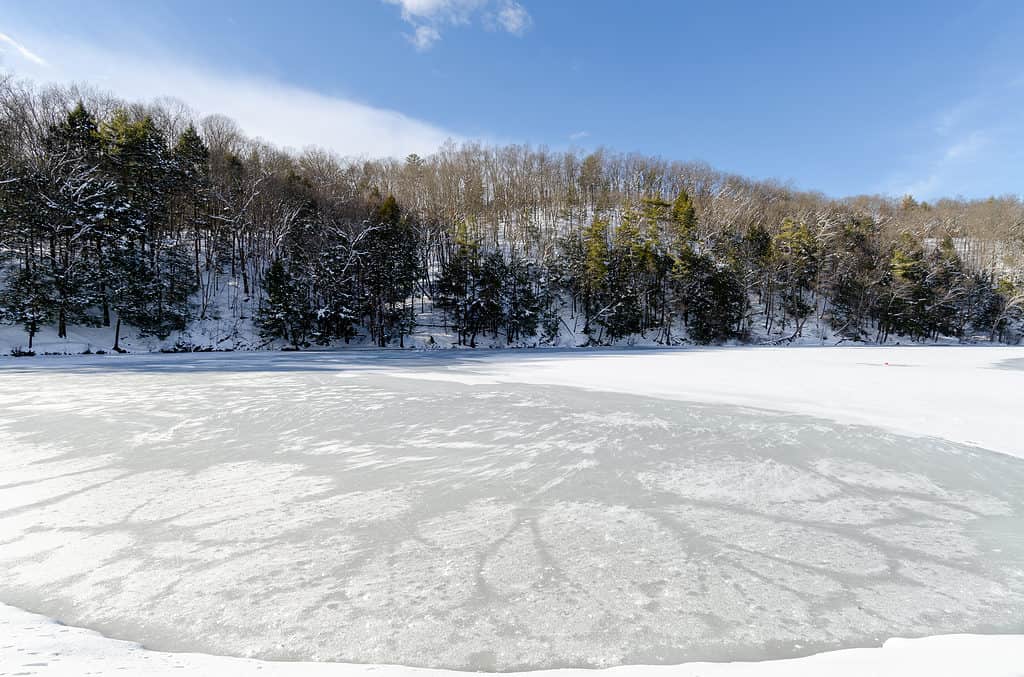 Inverno della Pennsylvania
