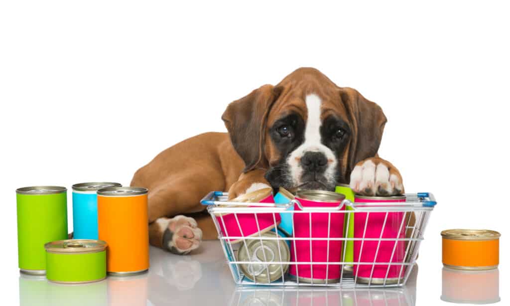 fromm cibo per cani in scatola