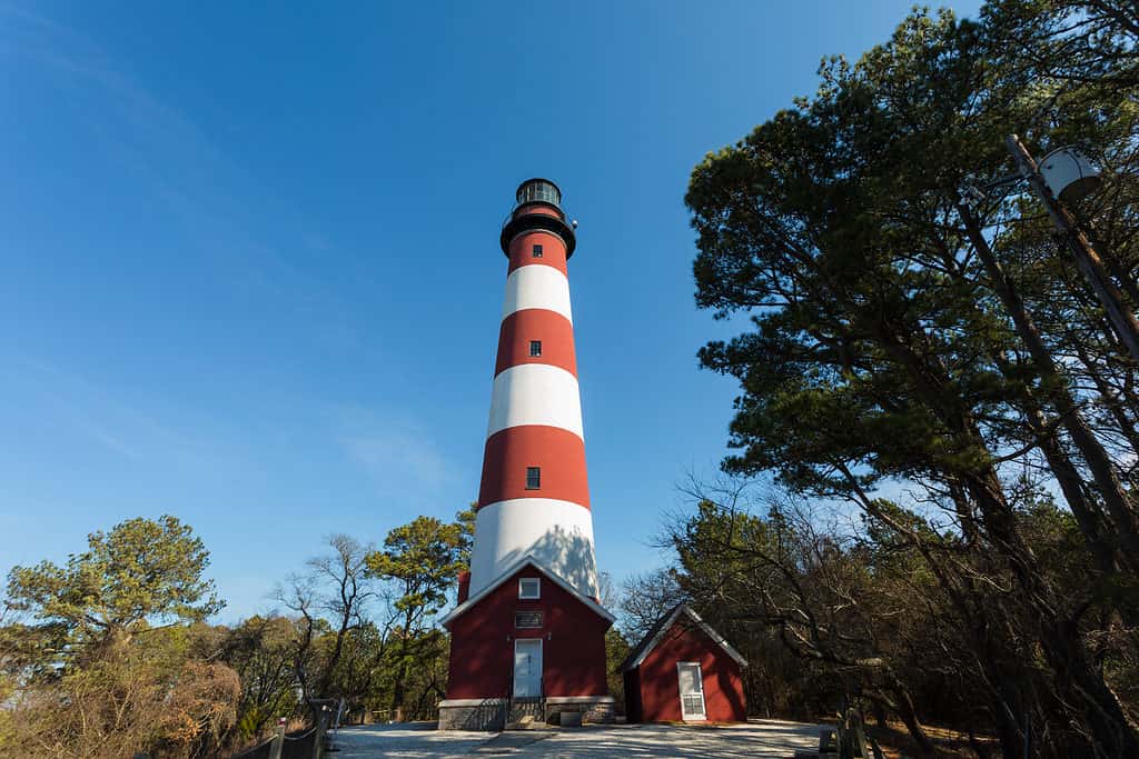Faro di Assateague