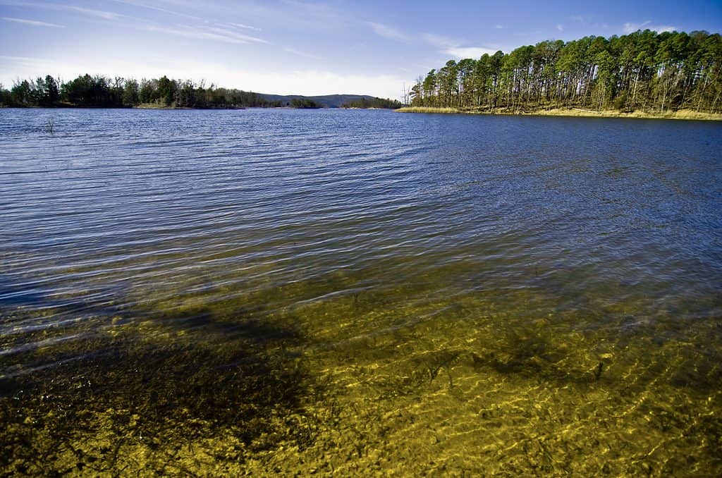 Lago nella foresta nazionale di Ouachita