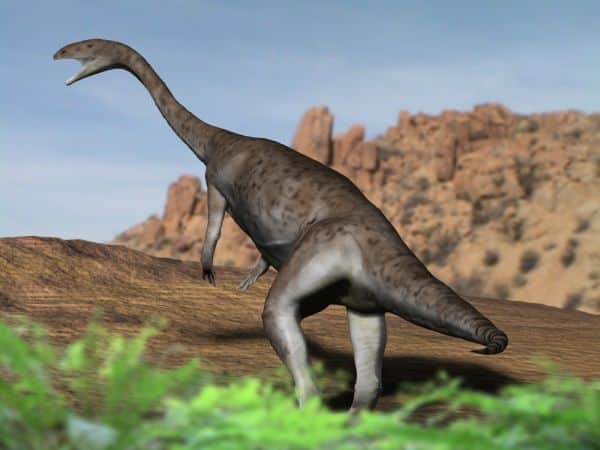 Anchisauro