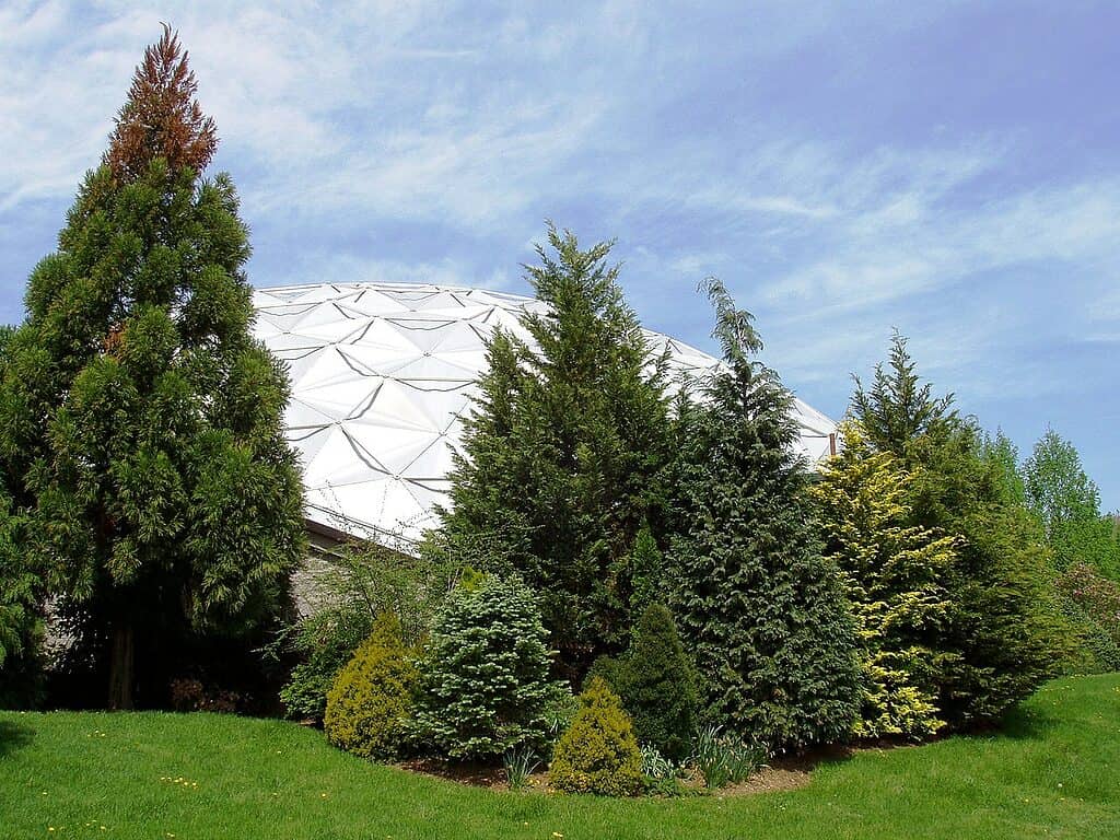 Dinosaur State Park (Rocky Hill, CT) - cupola