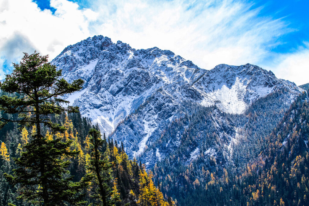 Parco nazionale di Kosciuszko