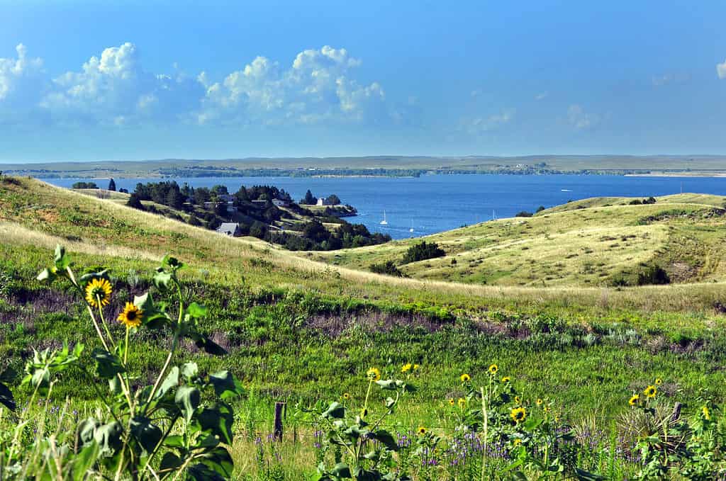 Fotografia del lago McConaughy. La fotografia è stratificata orizzontalmente con un cielo azzurro con alcune nuvole soffici fugaci a sinistra sul 1/4 superiore dell'inquadratura. Il 1/4 centrale del fotogramma contiene un grigio blu come con un paio di barche in vendita e alcuni affioramenti rocciosi. La metà inferiore dell'inquadratura è dedicata a una campagna ondulata ricoperta di vegetazione verde e fiori gialli