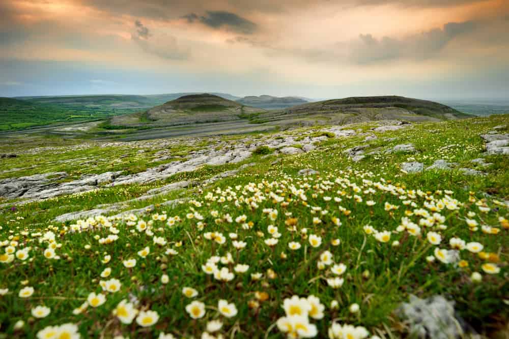 Parco nazionale del Burren