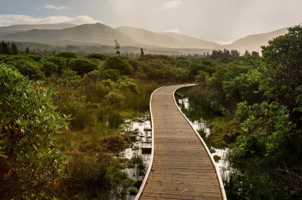 Parco Nazionale del Nephin selvaggio