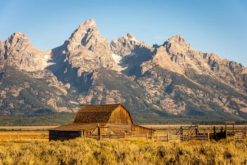 Fienile storico di fronte al Grand Tetons a Moose, Wyoming