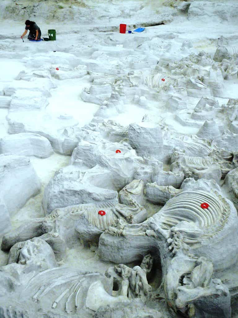 Parco storico statale dei letti fossili di Ashfall