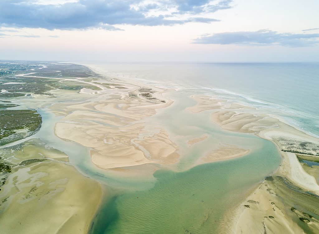 Parco Naturale Ria Formosa