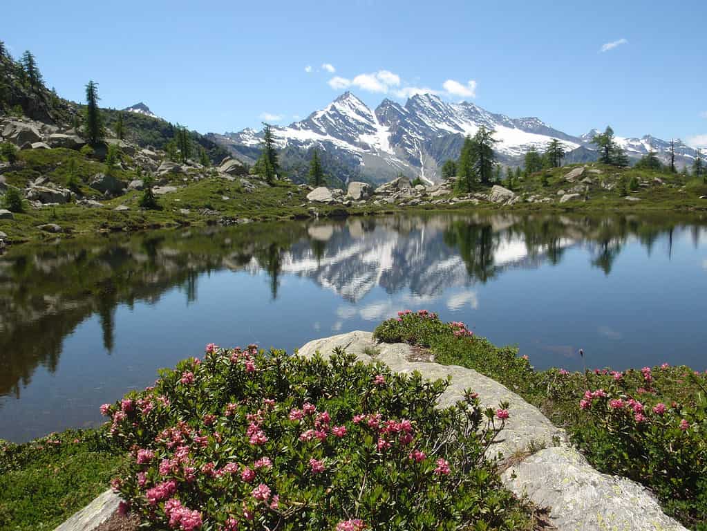 Parco Nazionale del Gran Paradiso