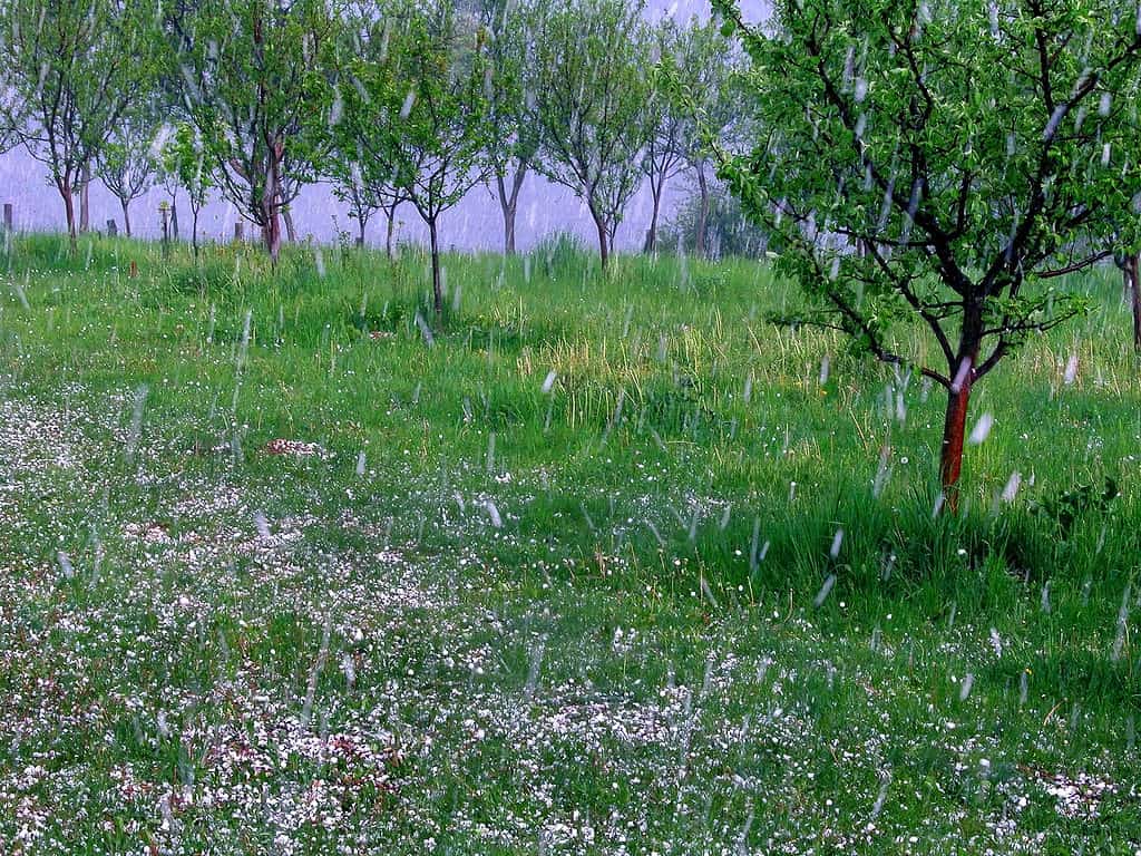 una grandinata