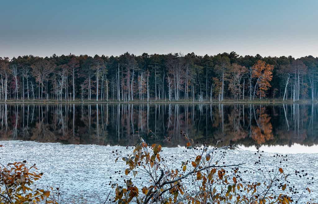 Pinewoods Lake nella foresta nazionale di Mark Twain