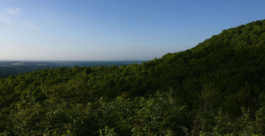 Foresta nazionale di Mark Twain