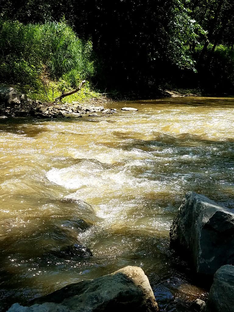 Grande fiume Piney