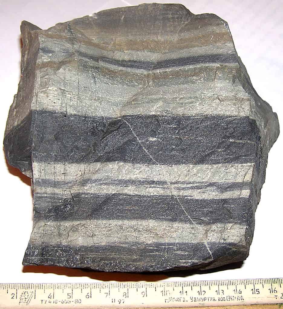 Hornfel isolati su sfondo bianco