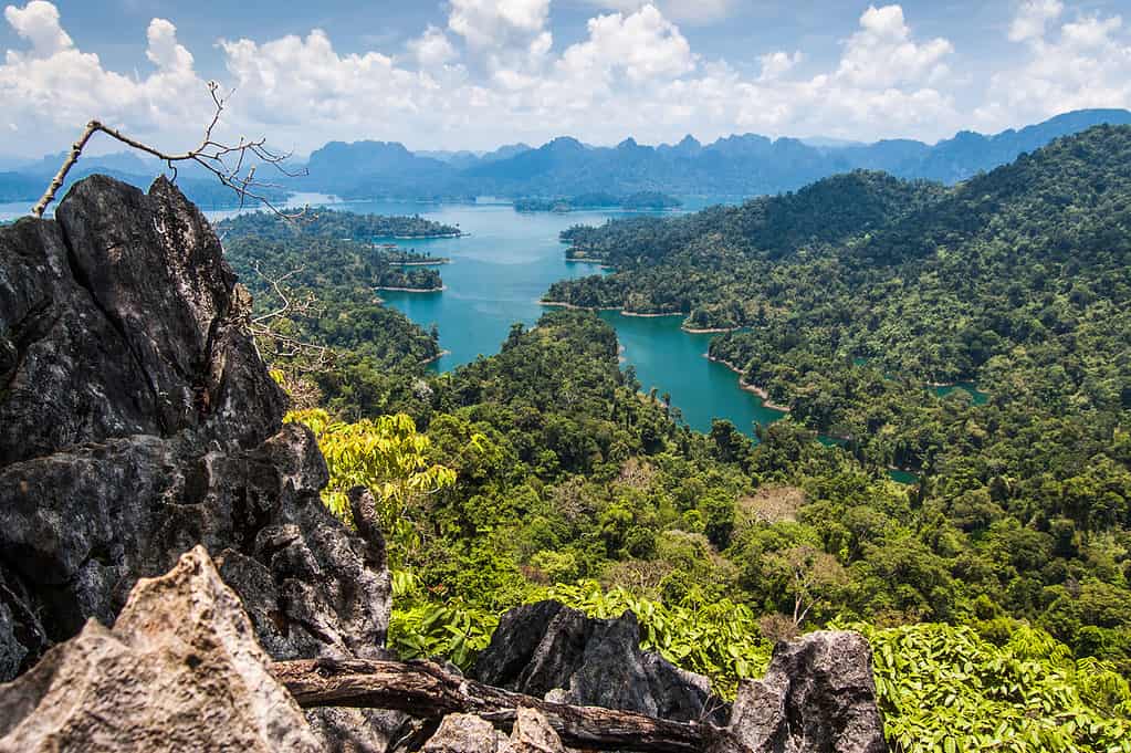 Parco Nazionale di Khao Sok