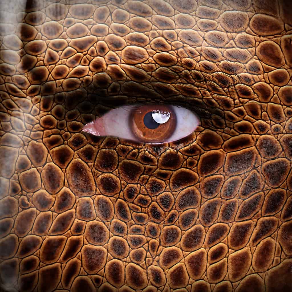 Simbolismo umano del coccodrillo