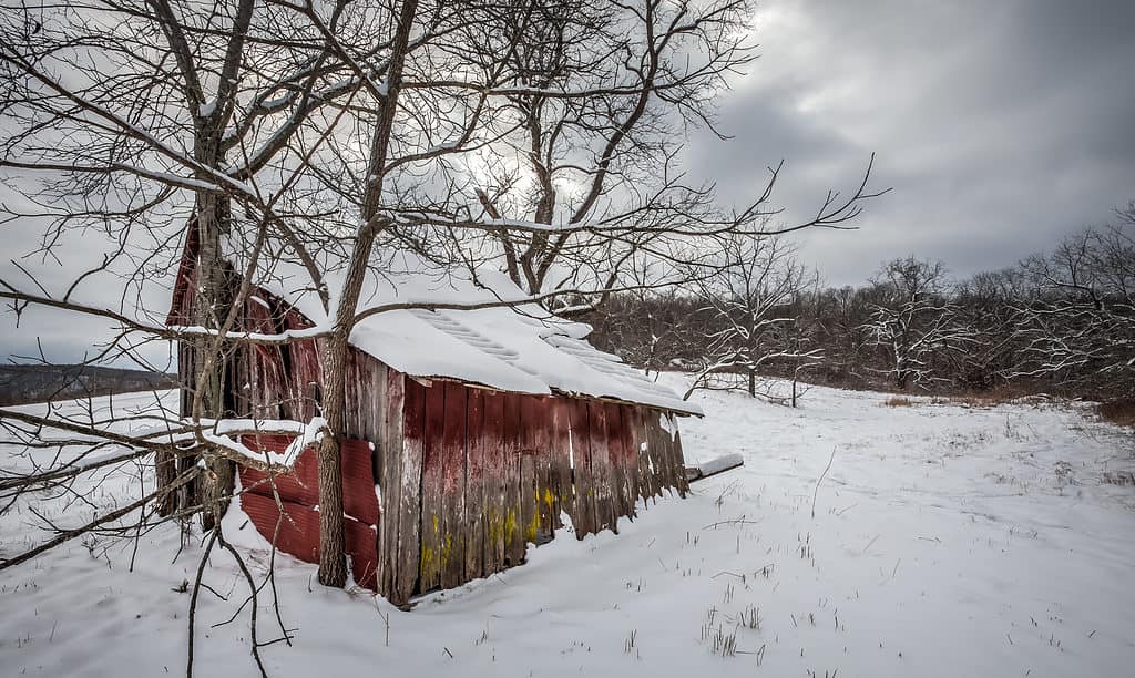 Ozark, Missouri, scena della neve
