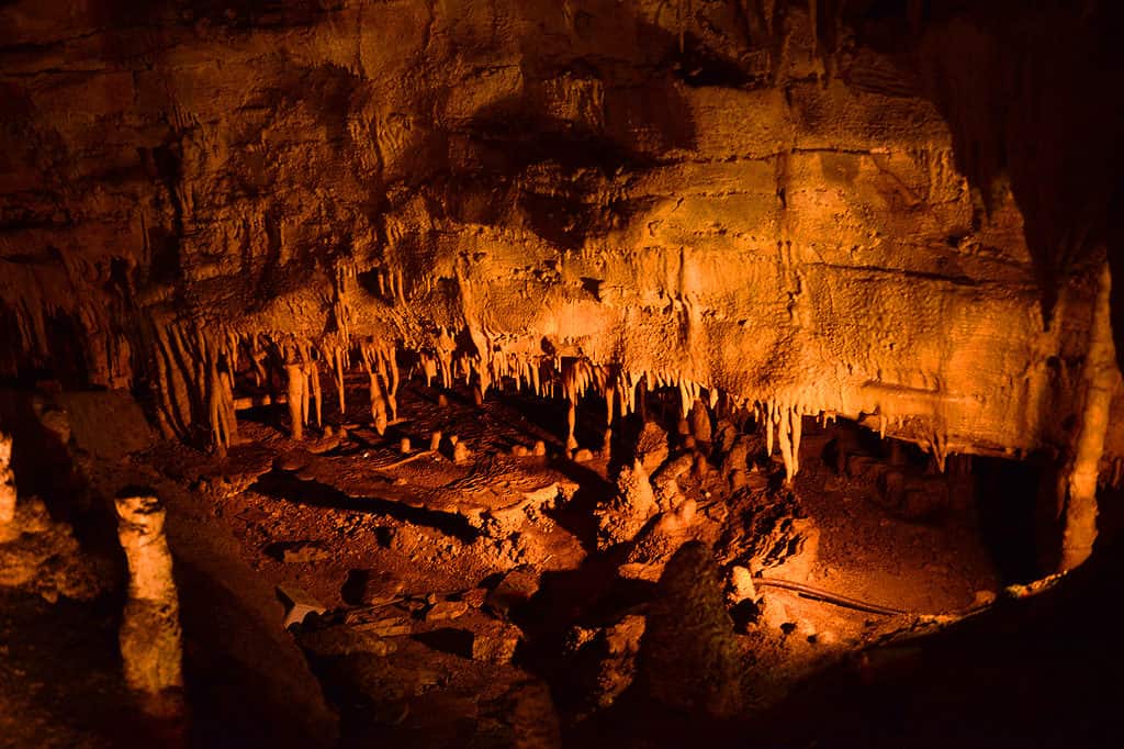 Parco Nazionale della Grotta del Mammut