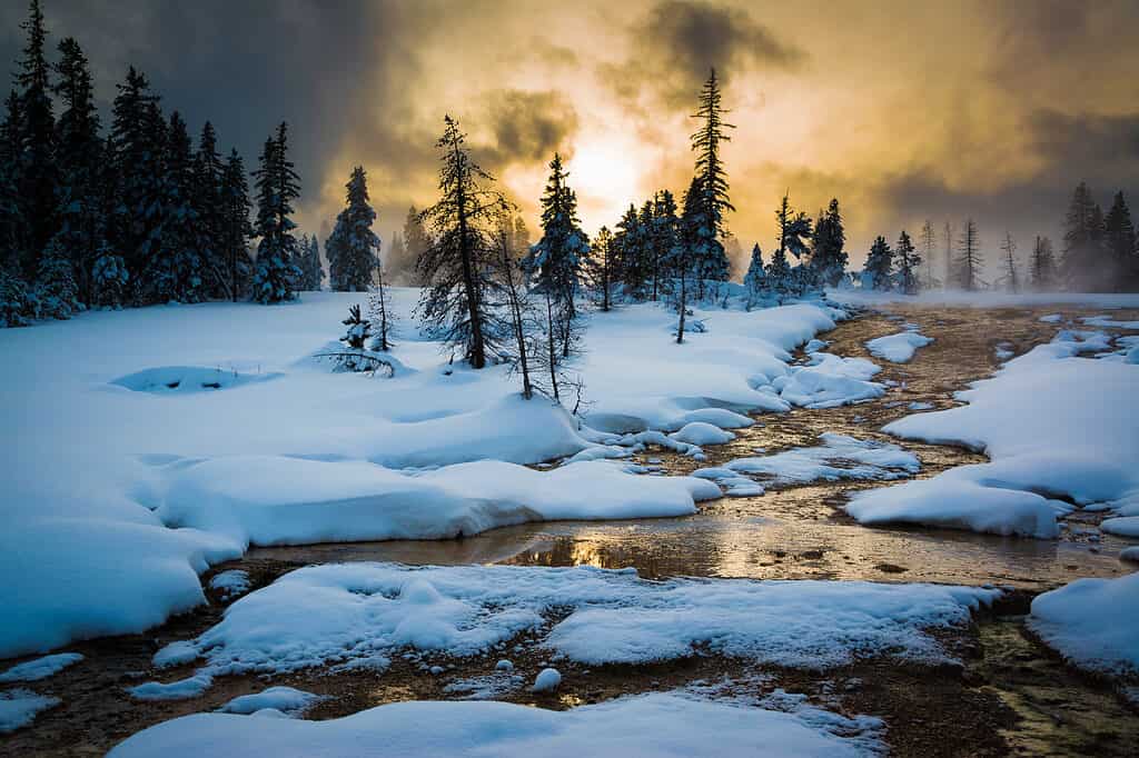 Parco Nazionale di Yellowstone