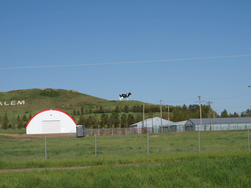 Salem Sue (o la più grande vacca Holstein del mondo)