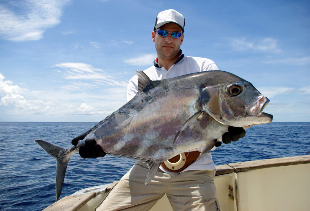 Trevally jack giapponese gigante