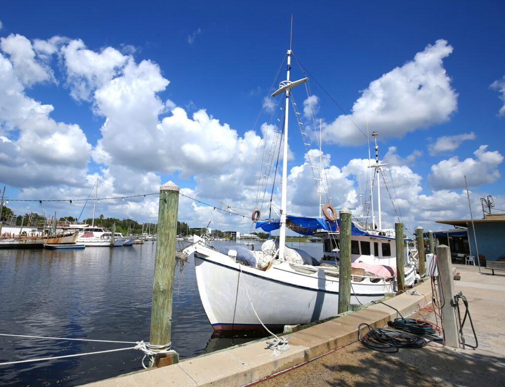 Bacino della barca Tarpon Springs