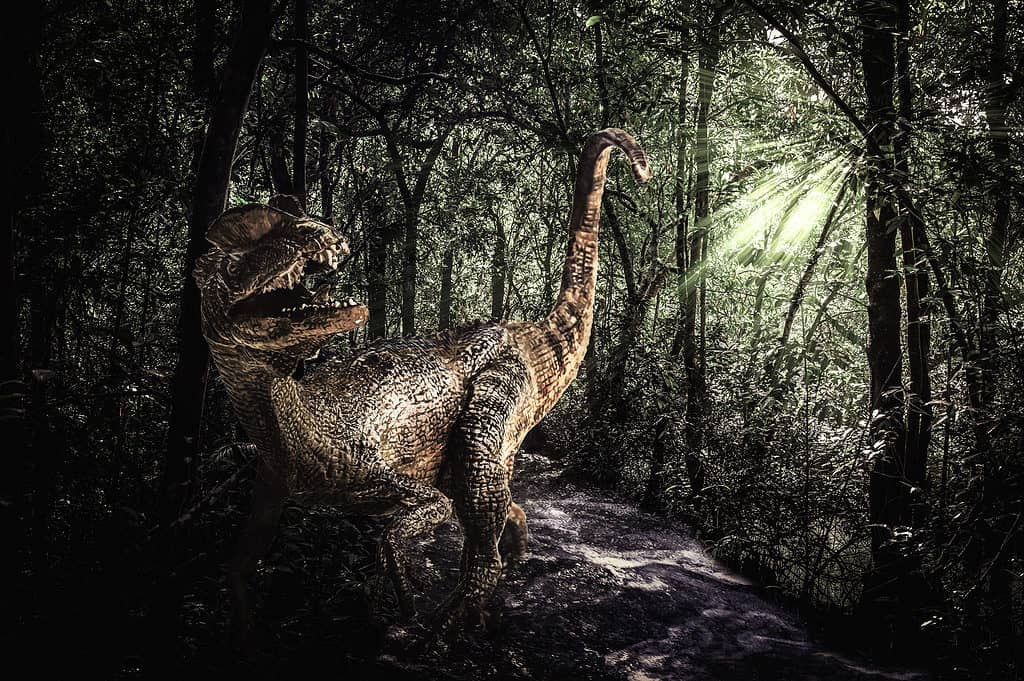 Dilofosauro, dinosauro, foresta pluviale, antico, animale