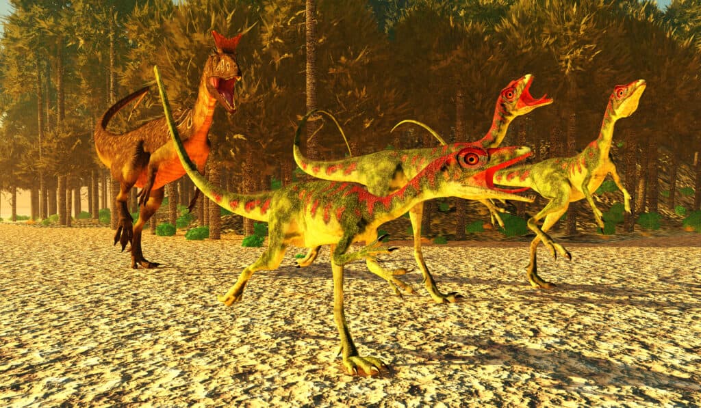 Era Mesozoica