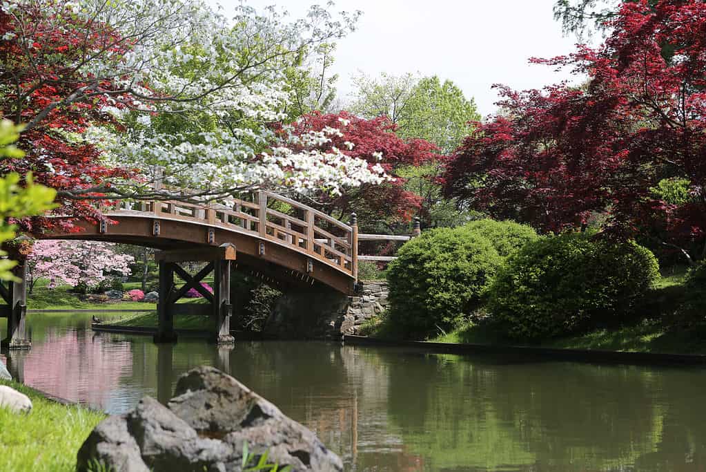 Giardini botanici nel Missouri