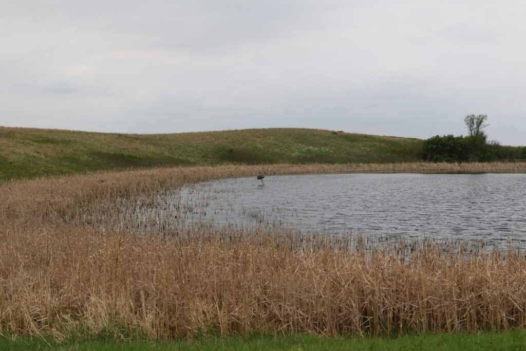 Lago Waubay