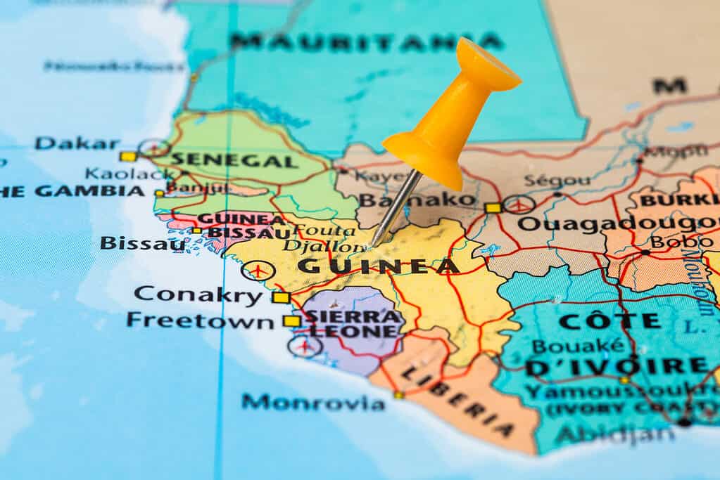 Guinea