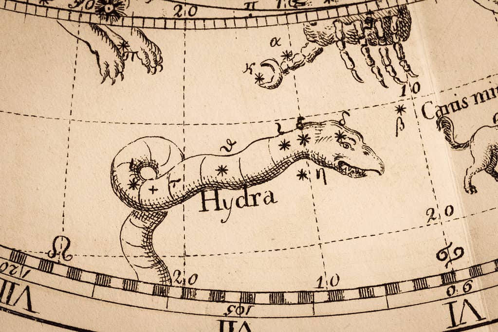 Antica rappresentazione dell'idra, la costellazione