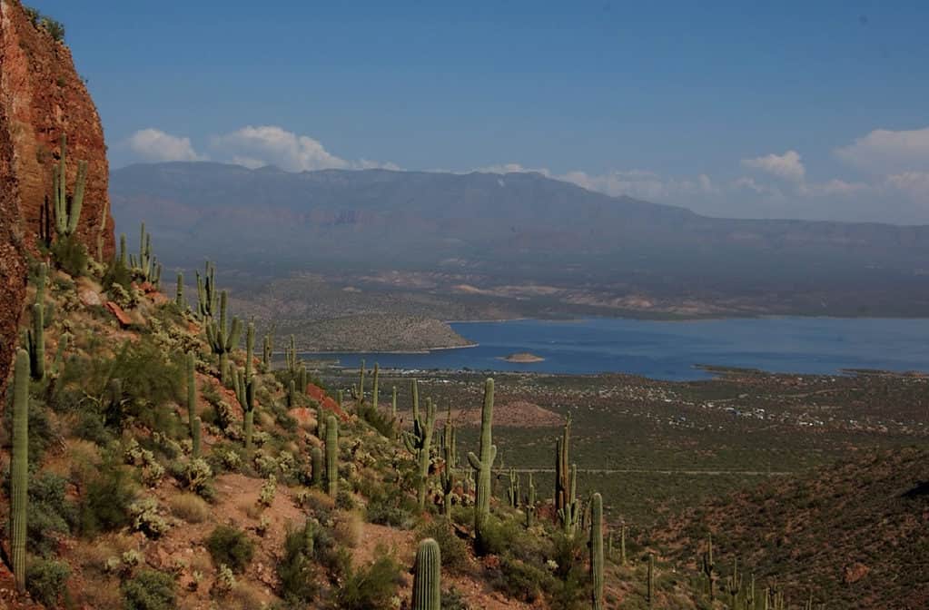 Theodore Roosevelt Lake